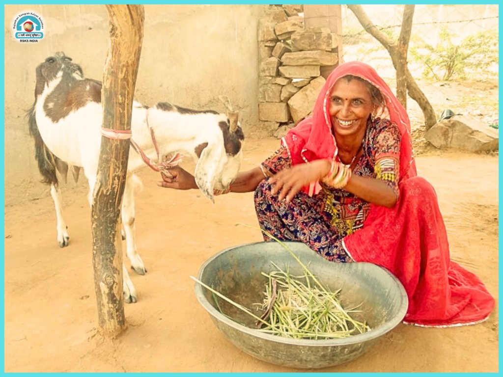A smiling woman in traditional attire feeding a goat while sitting beside a bowl of green fodder in a rural setting.